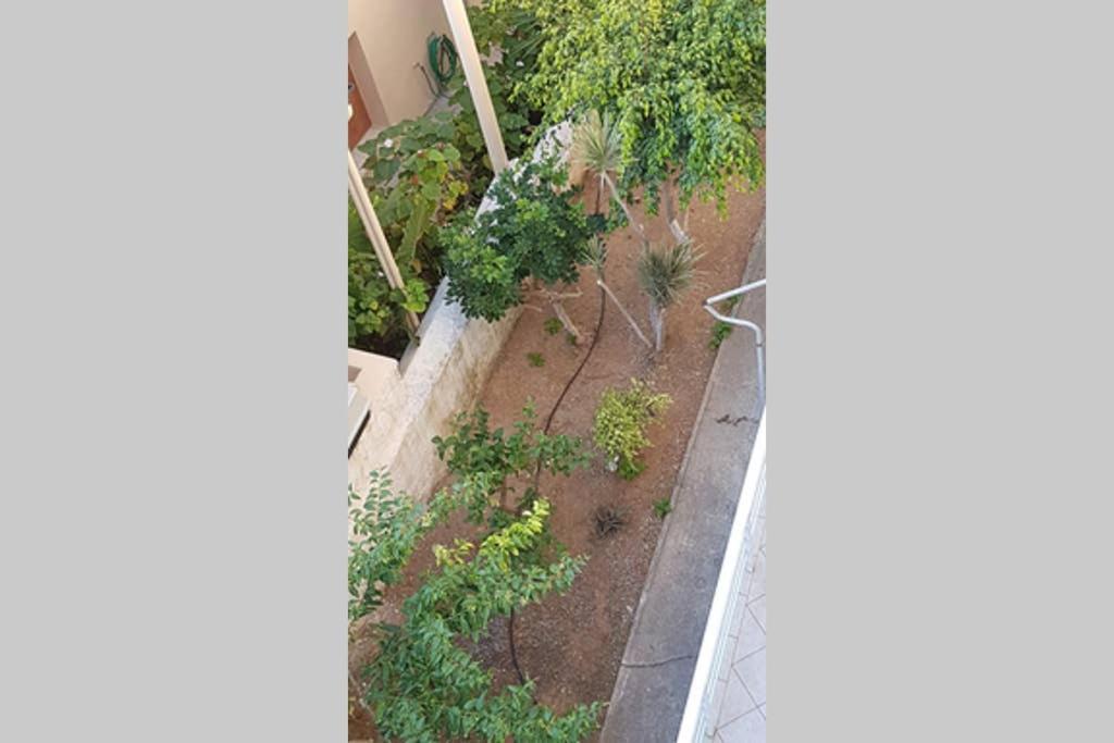 Ellis Apartments , Amperia , Crete Chania  Ngoại thất bức ảnh